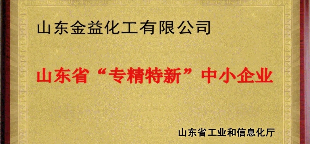 山东省专精特新中小企业